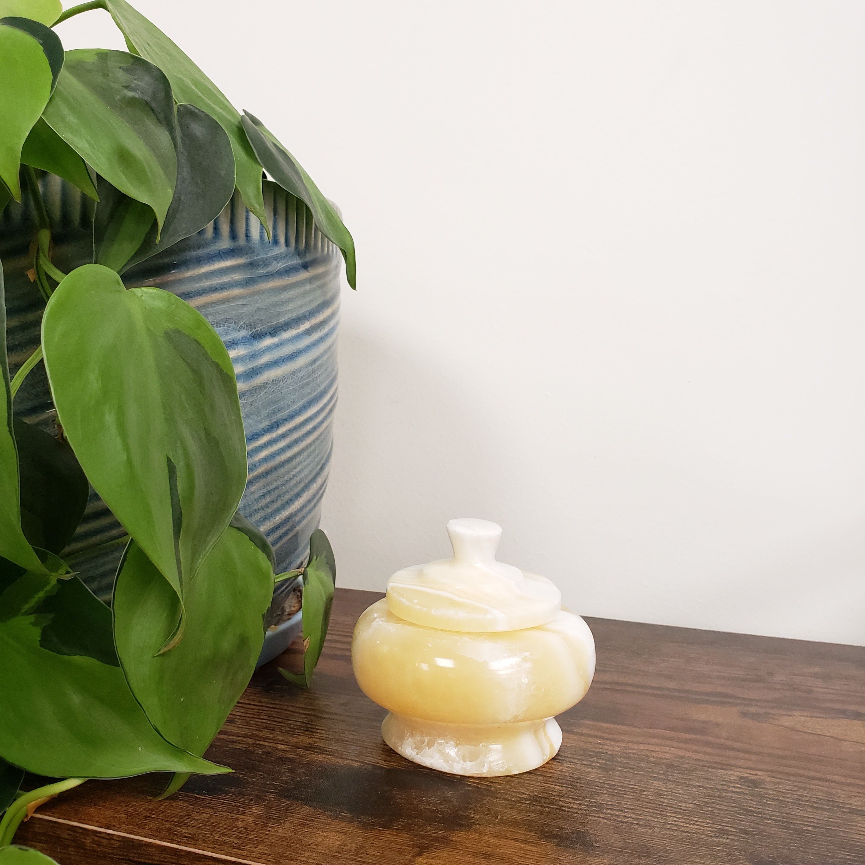 Decorative alabaster jar on a wooden door, surrounded by green leaves.