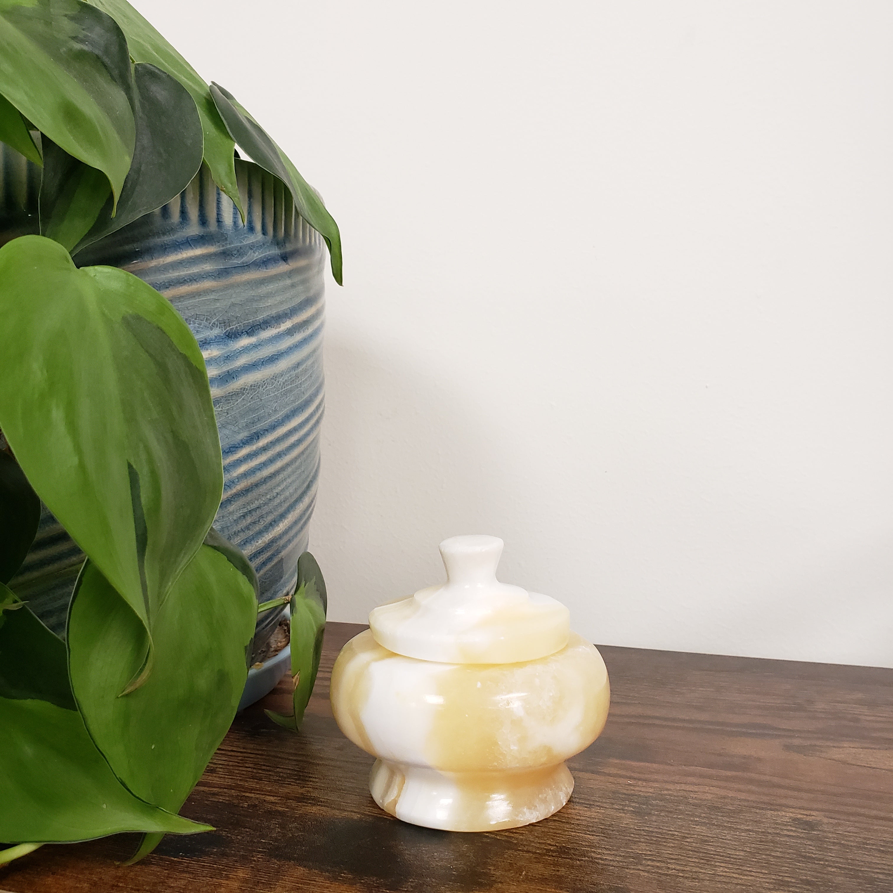 Decorative alabaster jar on a wooden door with green plants and a striped fabric in the background.
