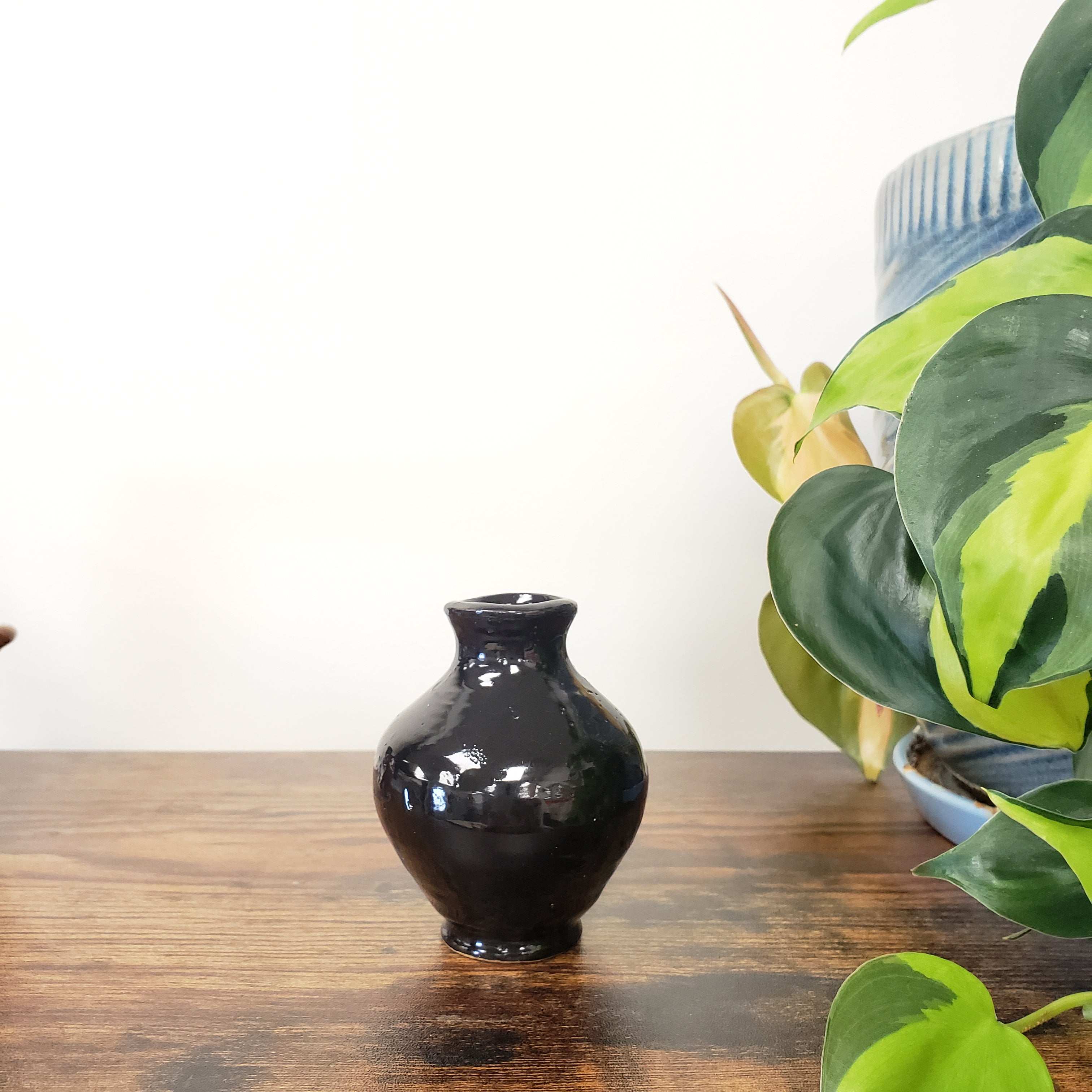 Black ceramic vase on a wooden surface with green plants in the background