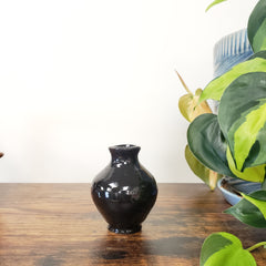 Black ceramic vase on a wooden surface with green plants in the background