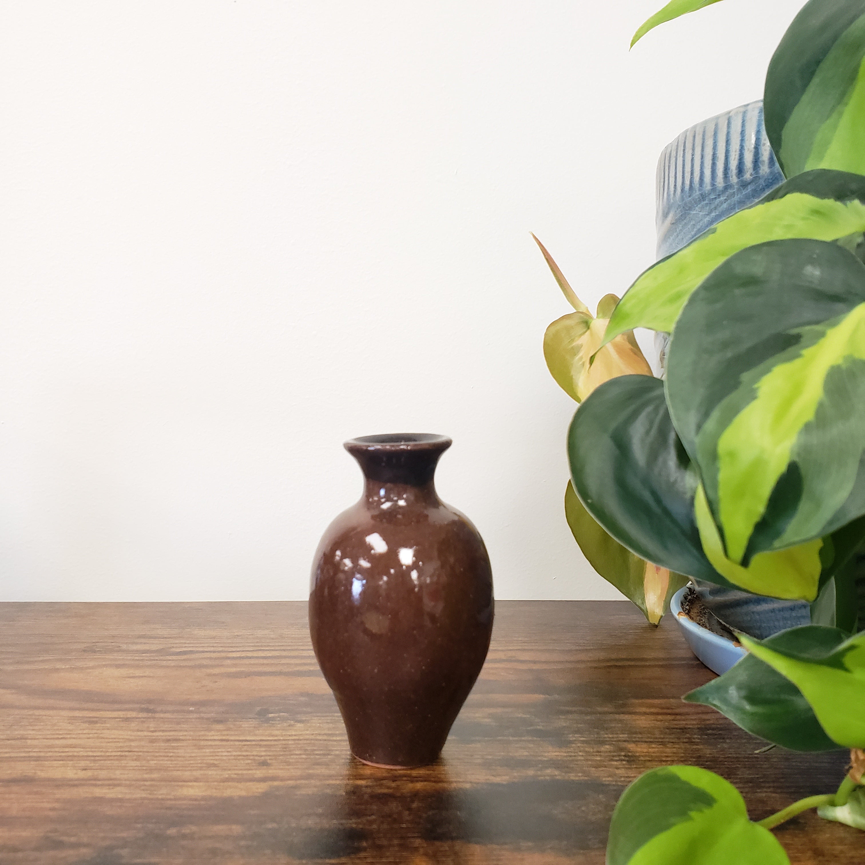 Brown ceramic vase on a wooden surface with green plants in the background