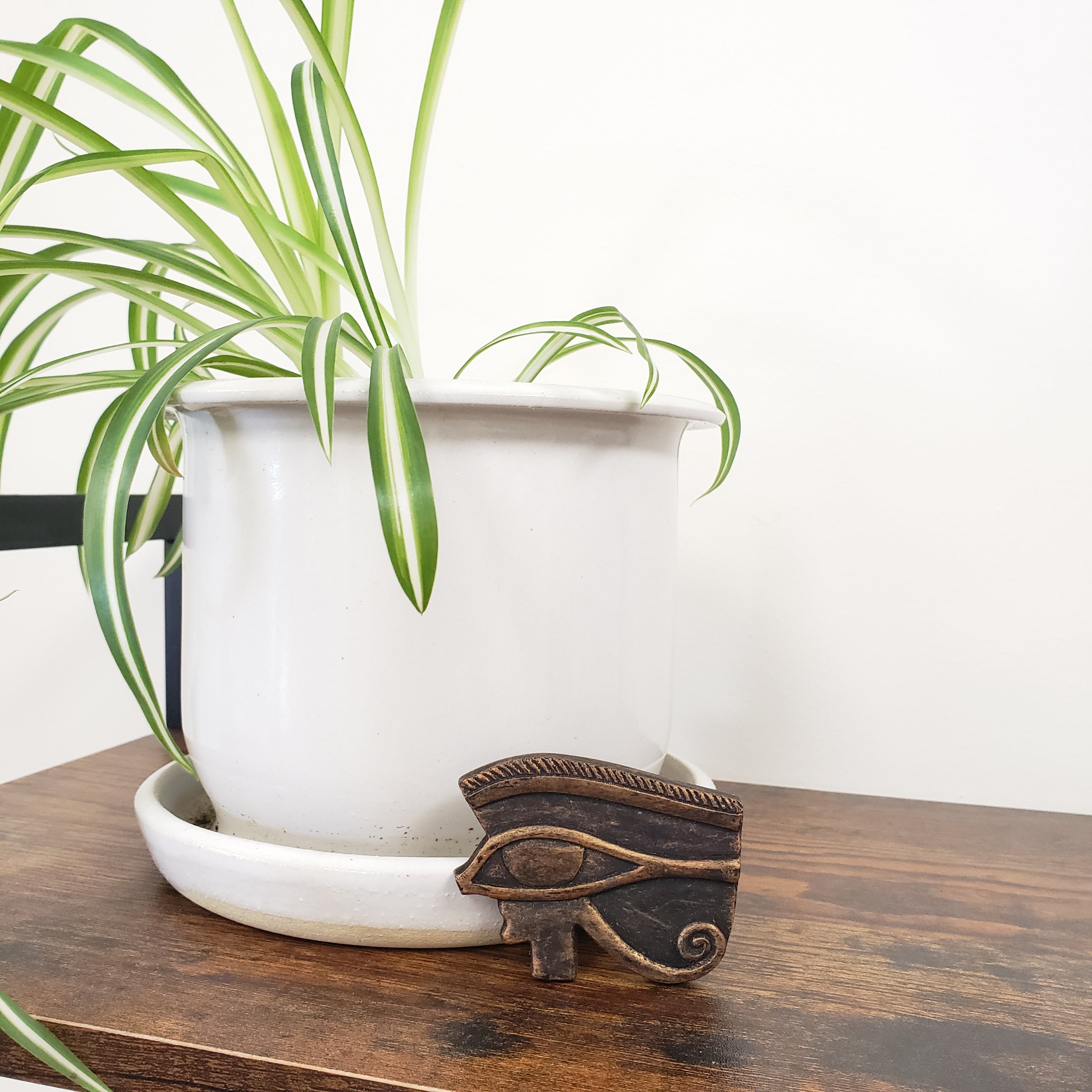 Decorative eye magnet with a white ceramic planter on a wooden board, with a plant in the foreground.
