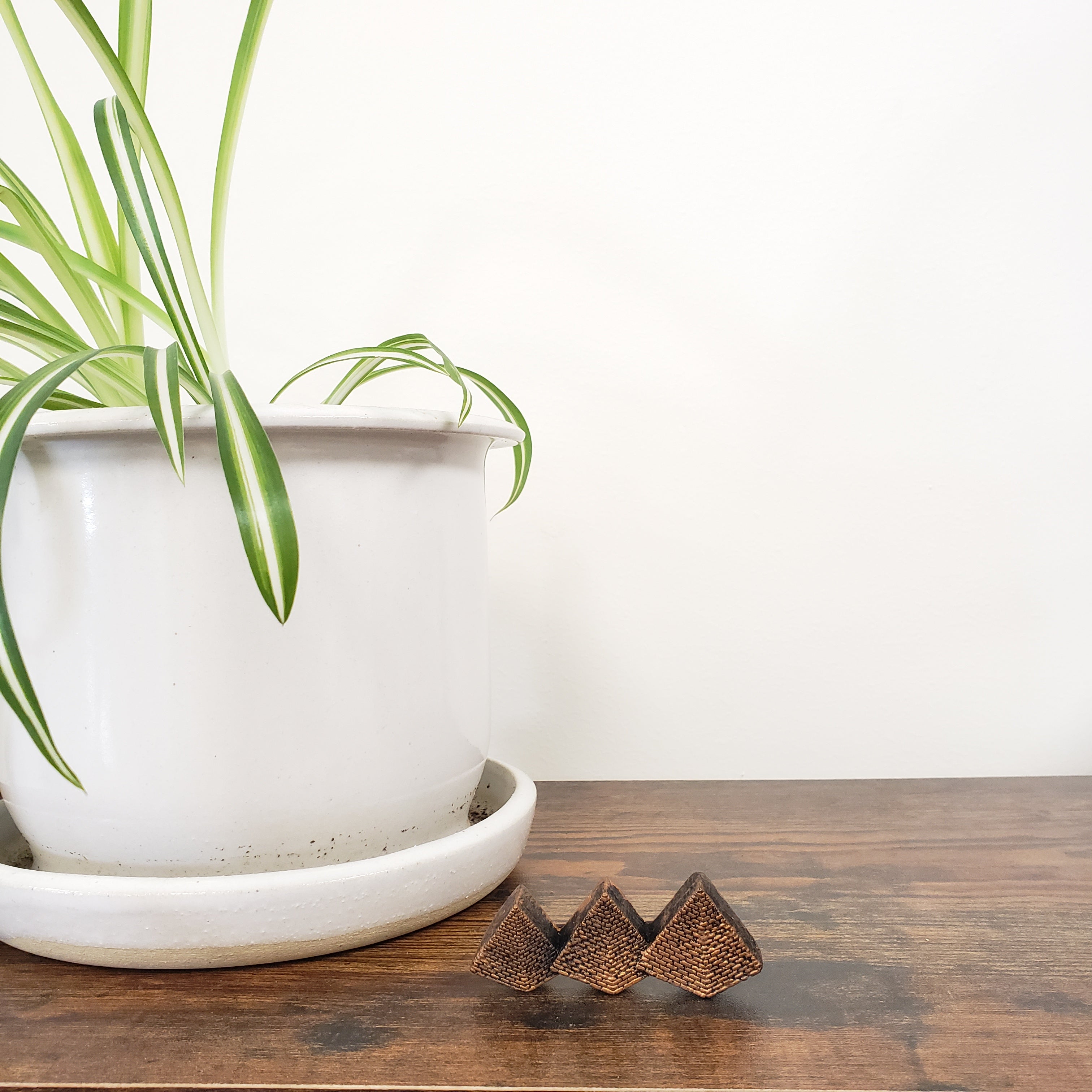 White ceramic plate with wooden frame and plant on a white background
