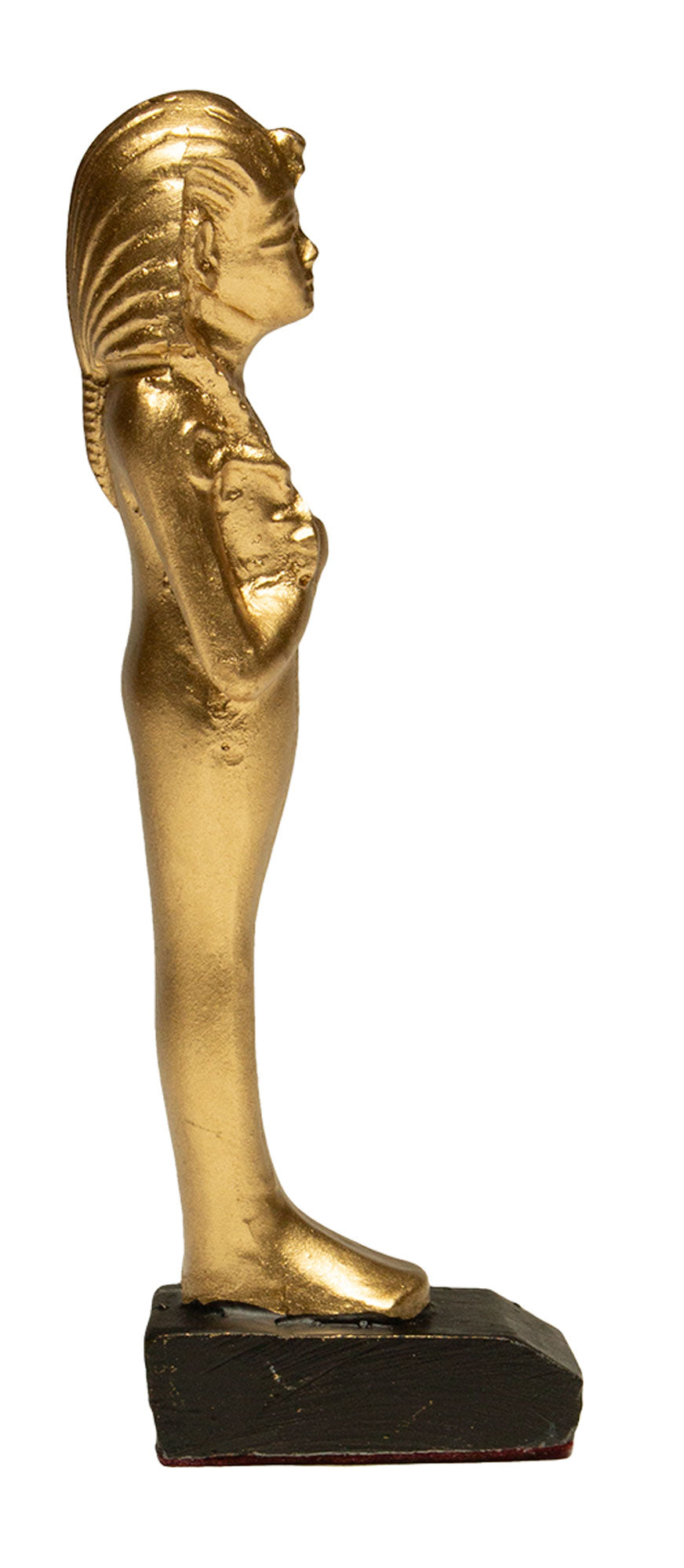 TUT GOLDEN - 5.25"