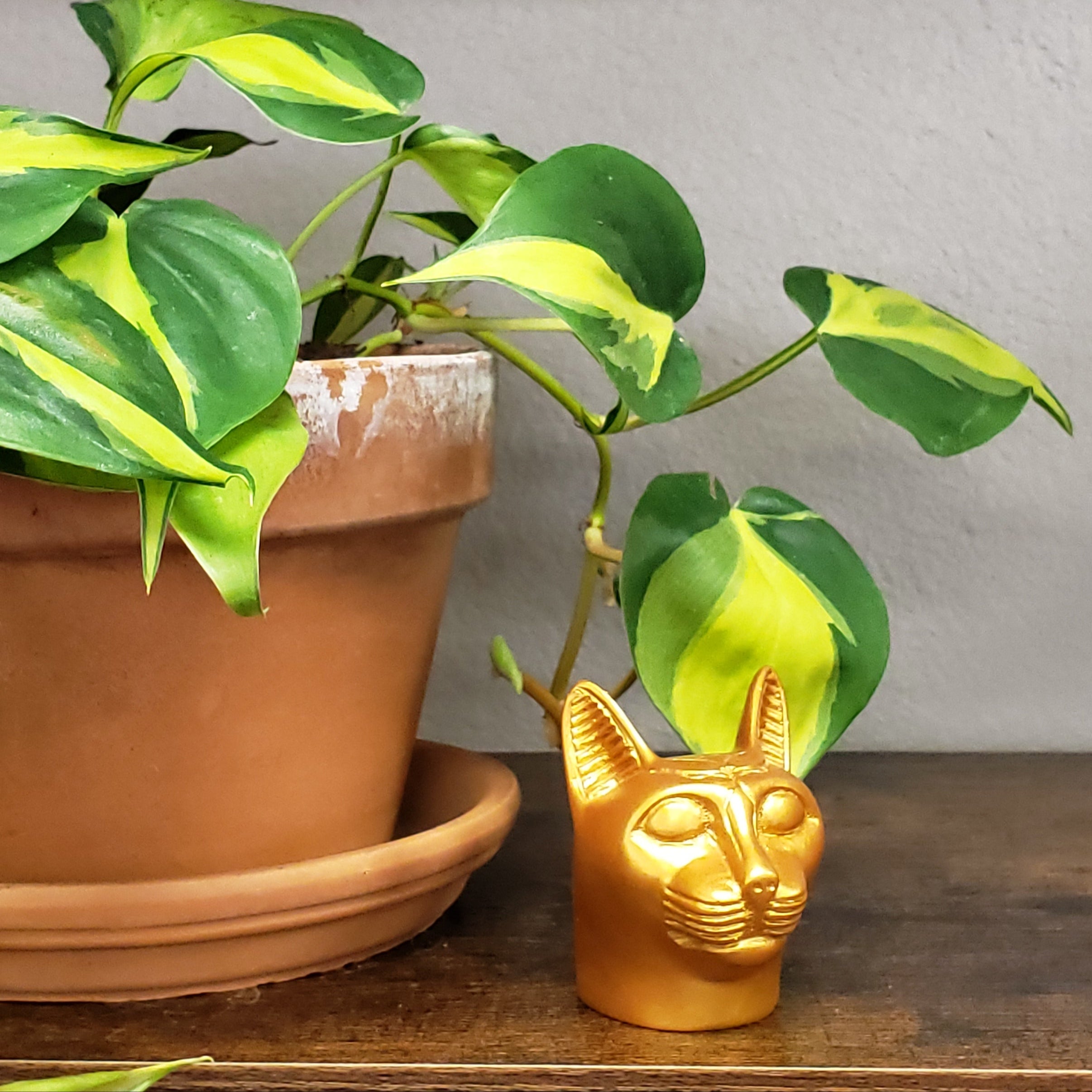 MINI EGYPTIAN BASTET CAT BUST STATUE - GOLD - MADE IN EGYPT