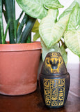 Canopic Jar Antique Gold - Imsety - 5"