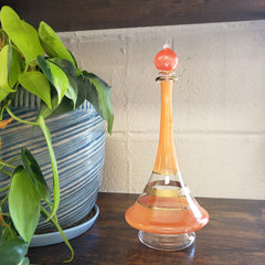 Decorative glass bottle with a long neck and wide base, leaning against a wall with a plant in the foreground.