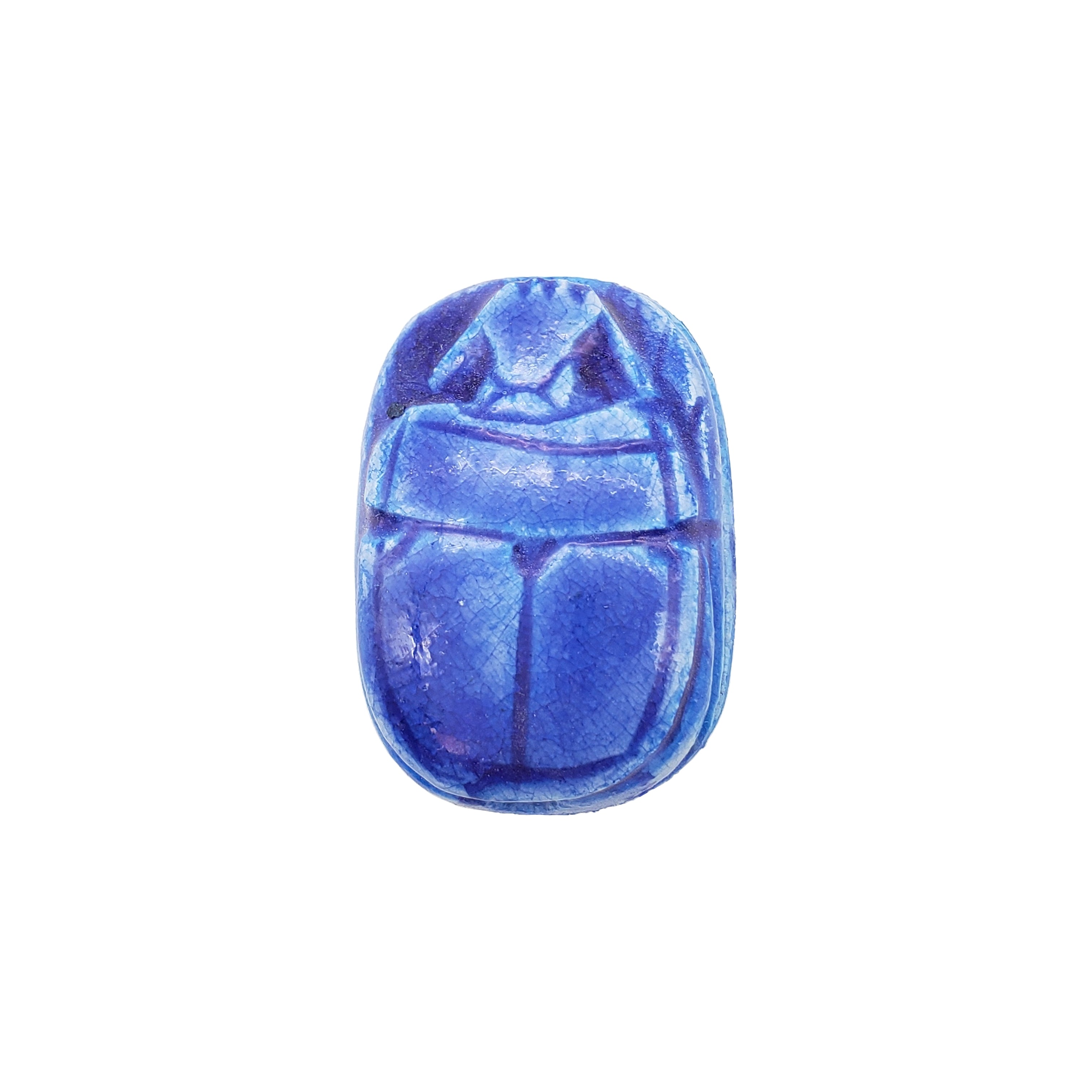 Blue scarab beetle on a white background