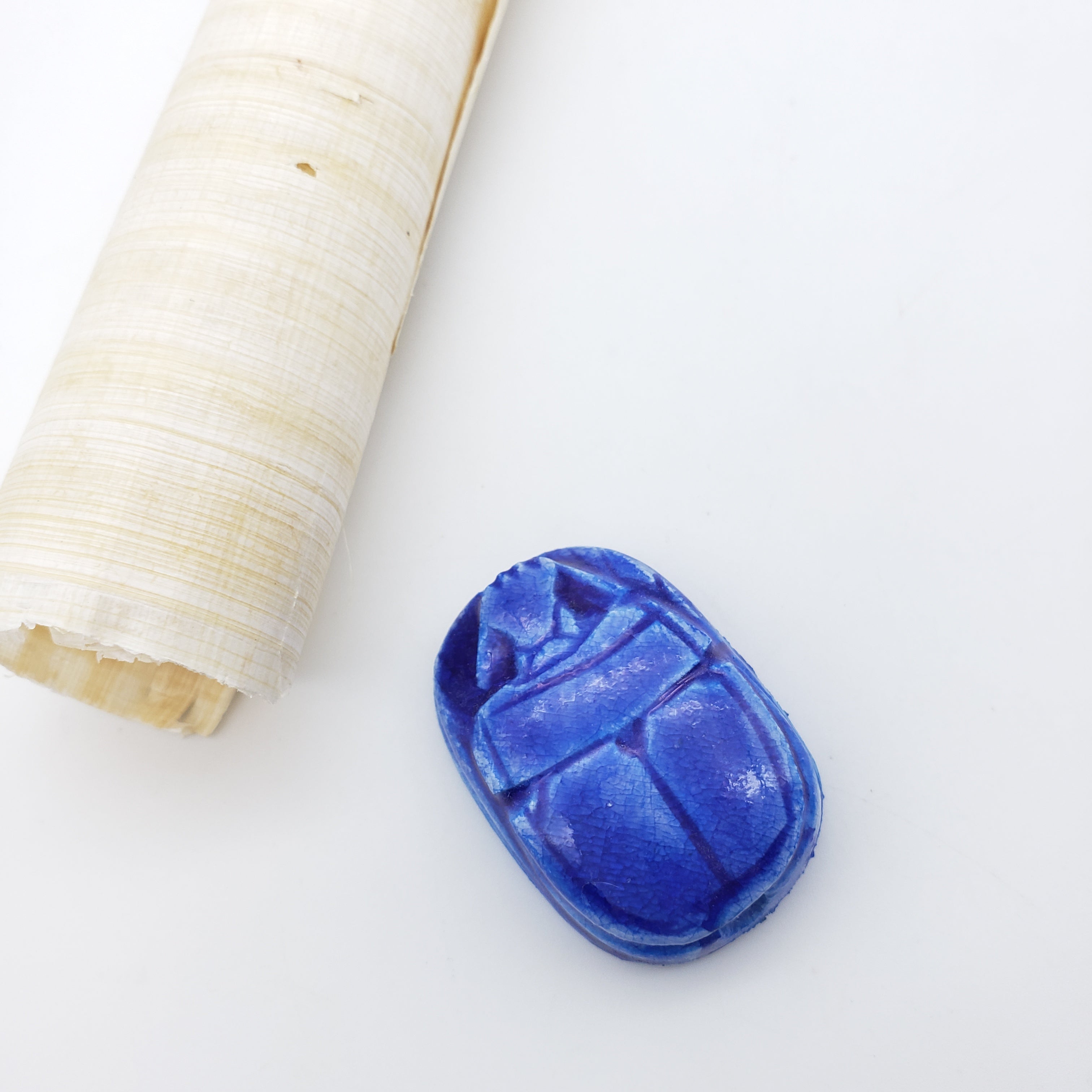 Blue scarab beetle on a white background