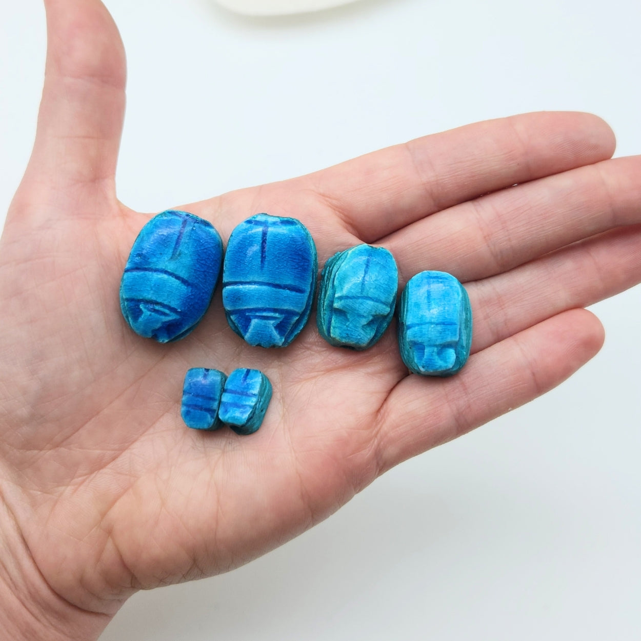 Hand holding blue scarab beetles against a white background