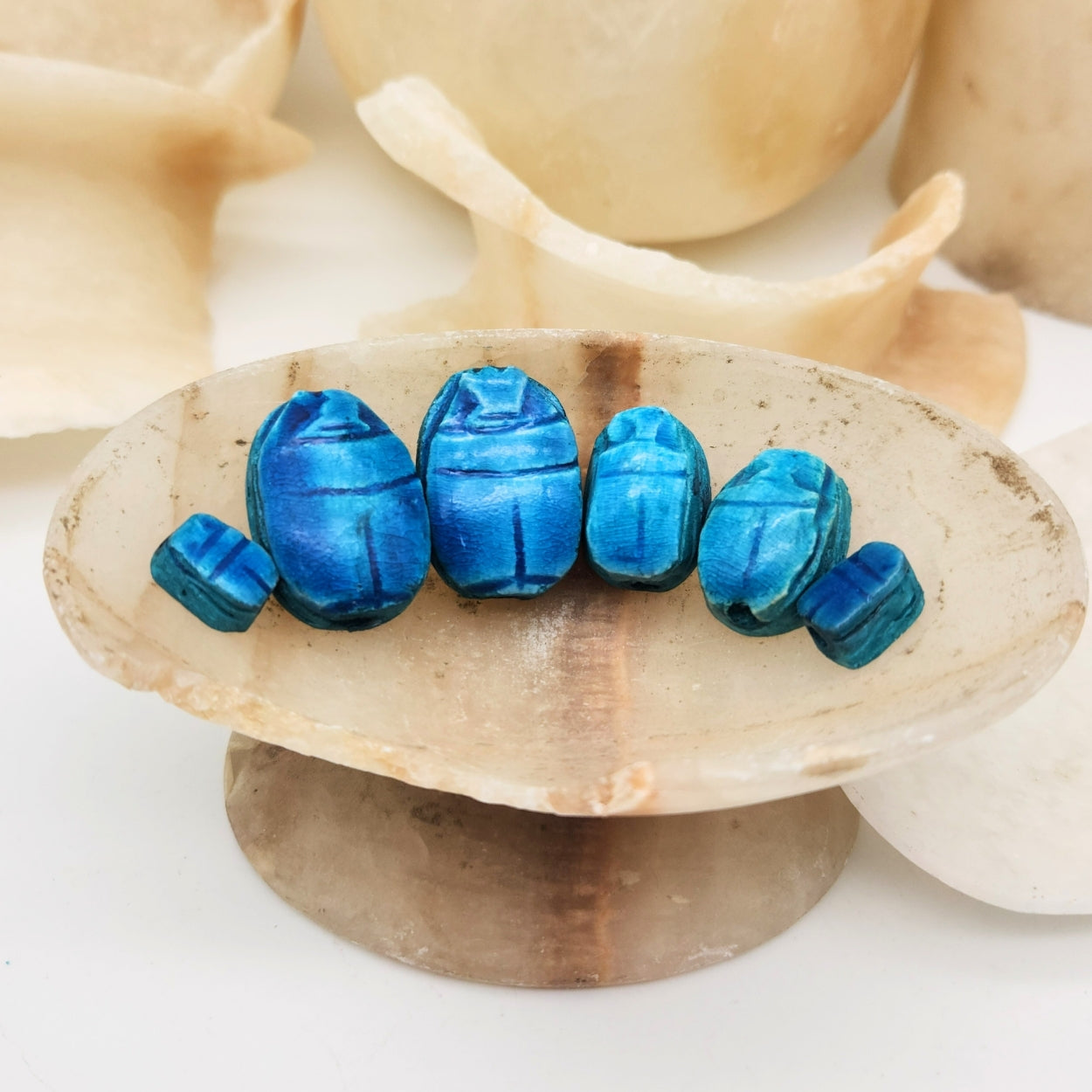 Blue stone scarab beetles on a wooden stand with seashells in the background
