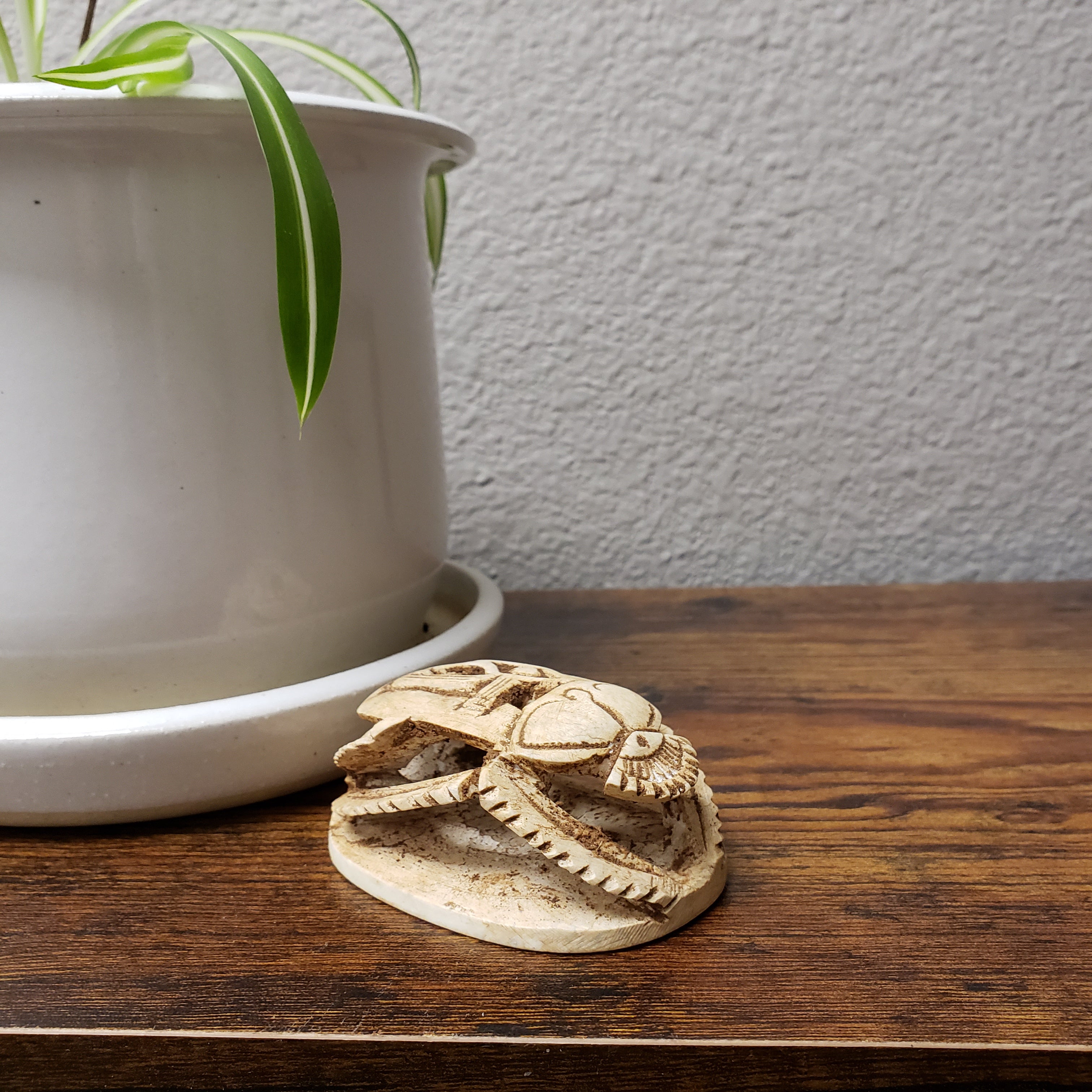 Decorative scarab on a wooden surface next to a white pot with a plant