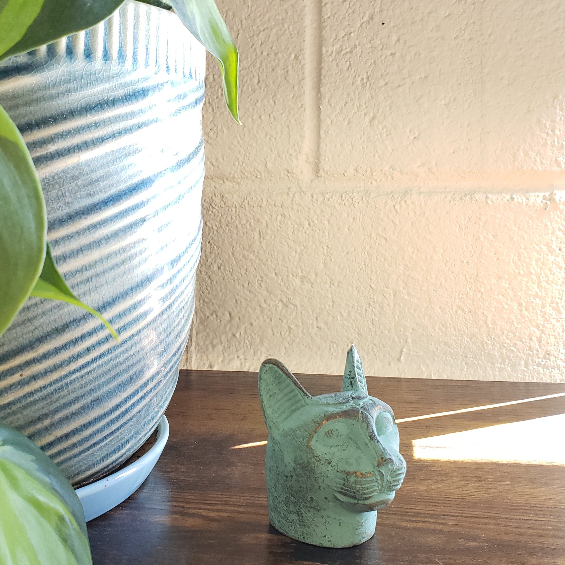 Green plant in front of a textured wall with a light source