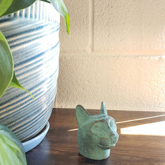 Green plant in front of a textured wall with a light source