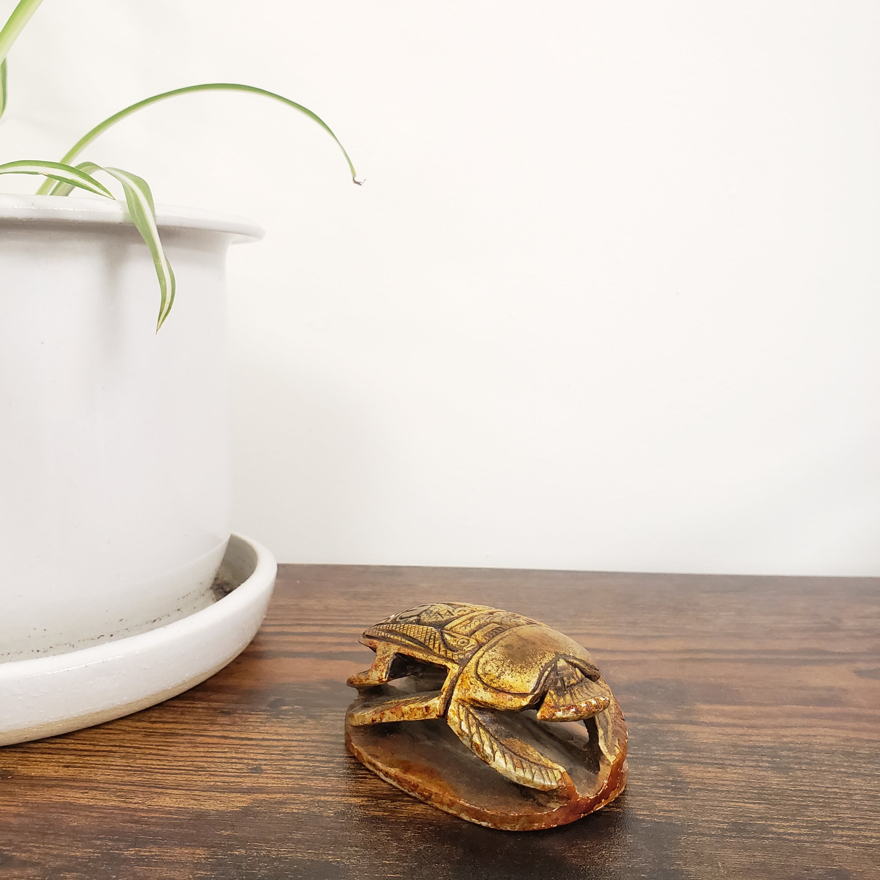 Decorative scarab statue on a wooden door with a white wall and plant in the background