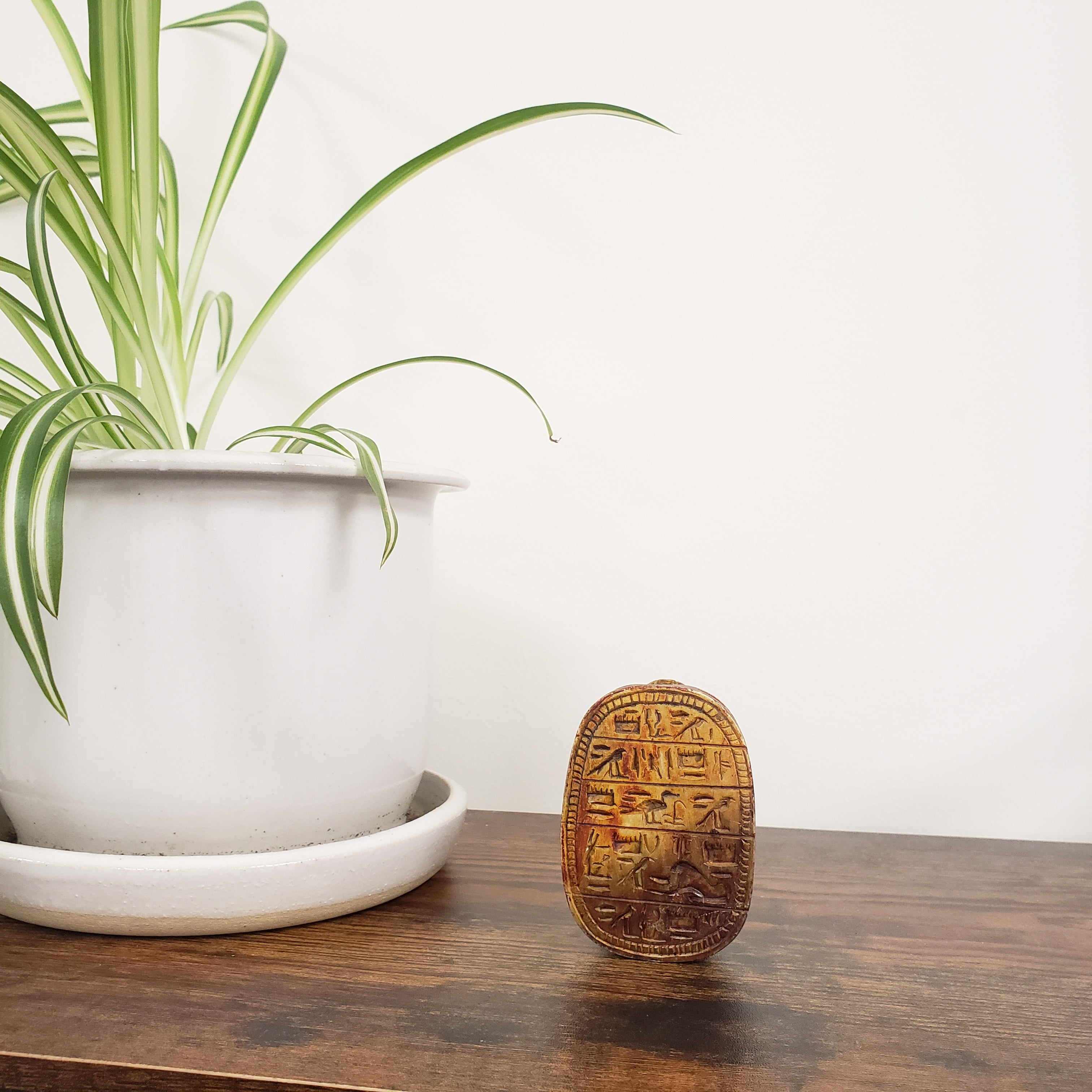 Decorative scarab statue with ancient Egyptian design on a wooden door next to a plant.