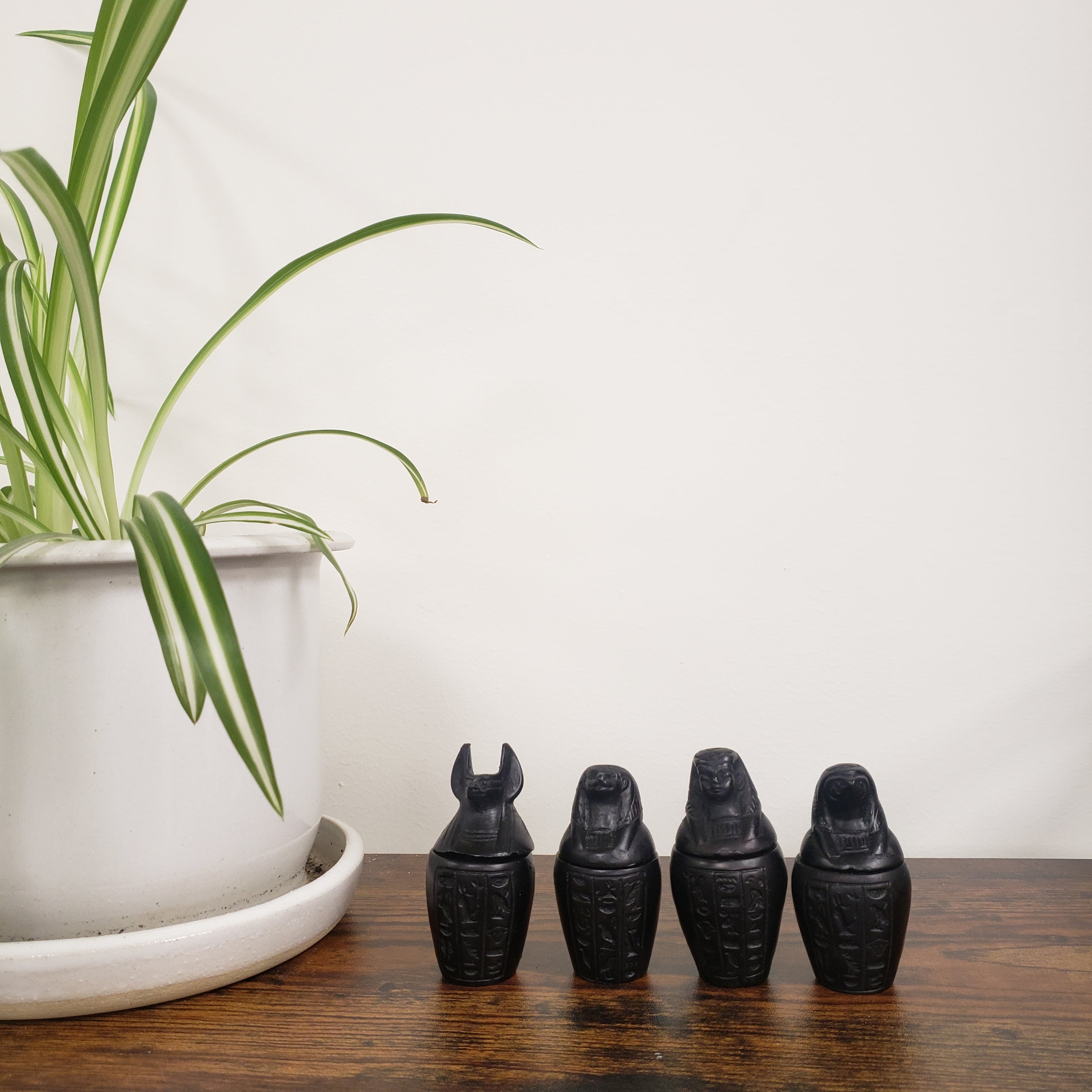 Black canopic jar statues with a plant on a white wall.