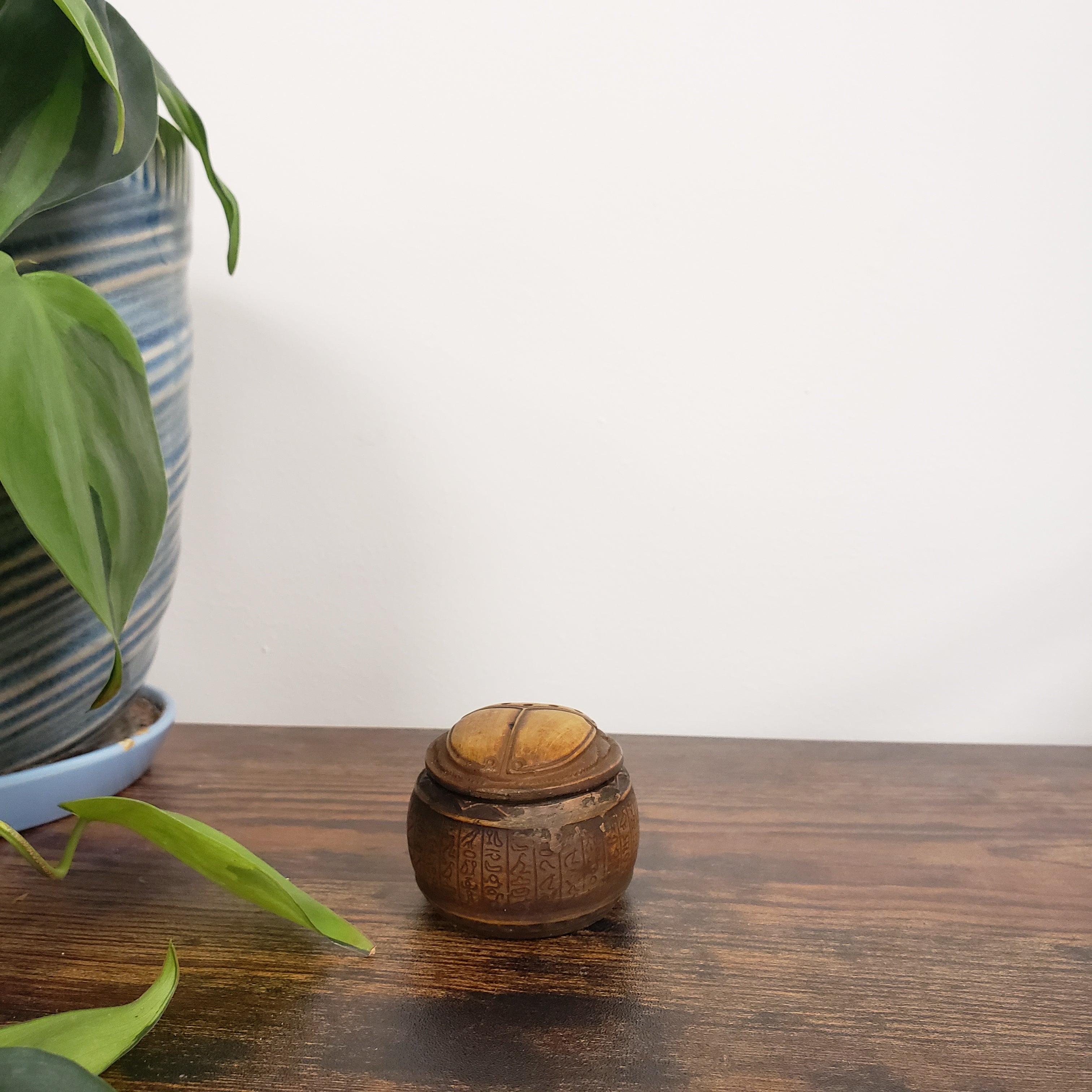 Egyptian scarab box on a wooden door with a plant in the foreground