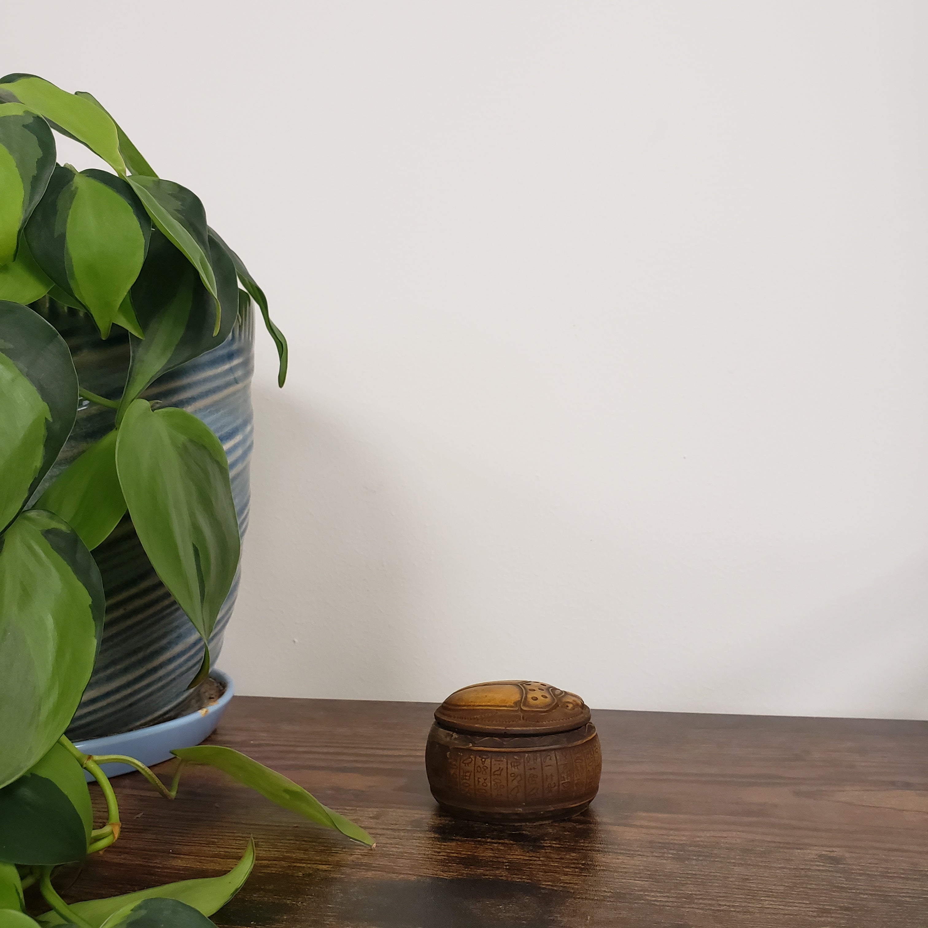 Egyptian scarab box with green plants in the foreground