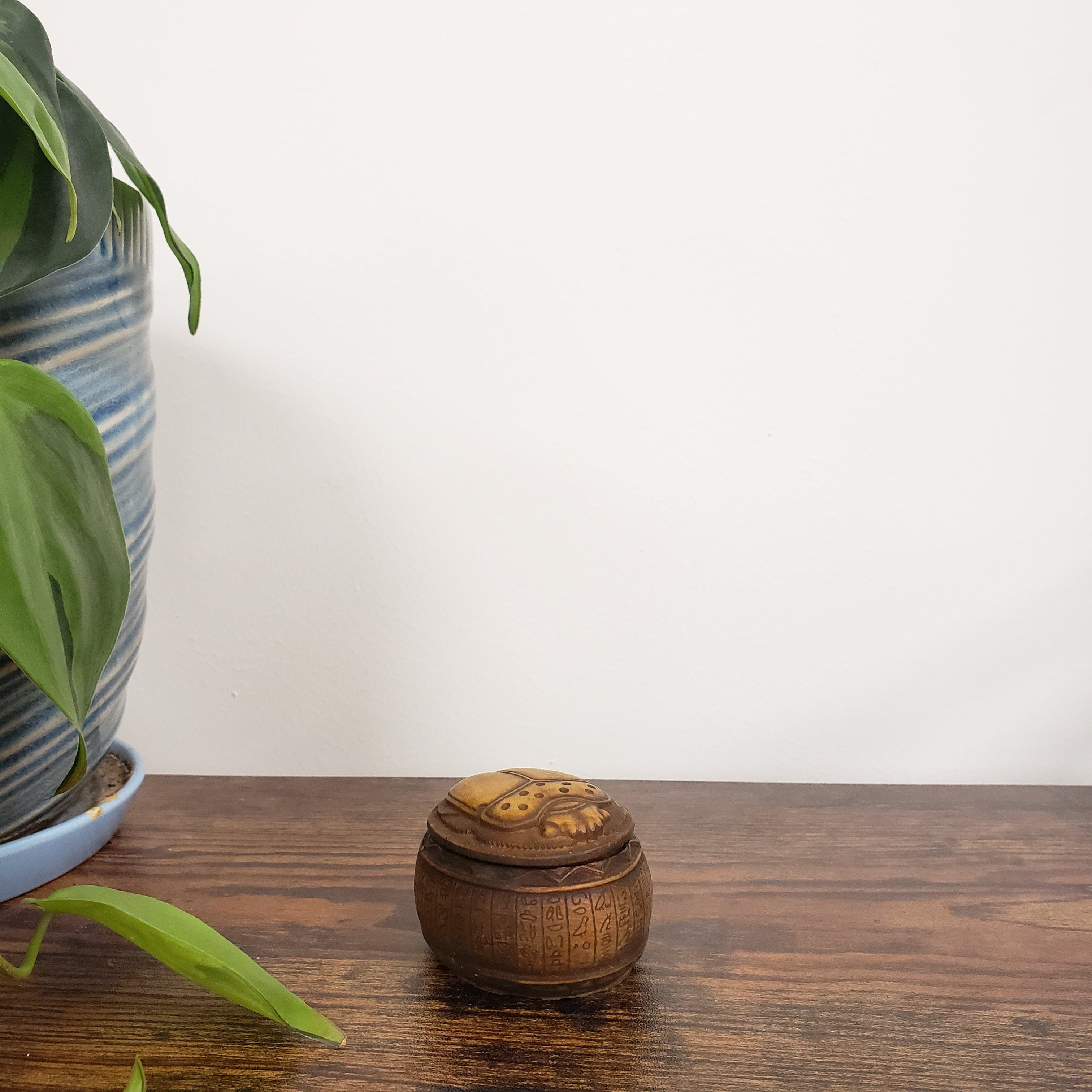 Egyptian scarab box on a wooden door with plants in the foreground