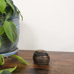 Decorative Egyptian scarab box on a wooden door with green plants in the foreground