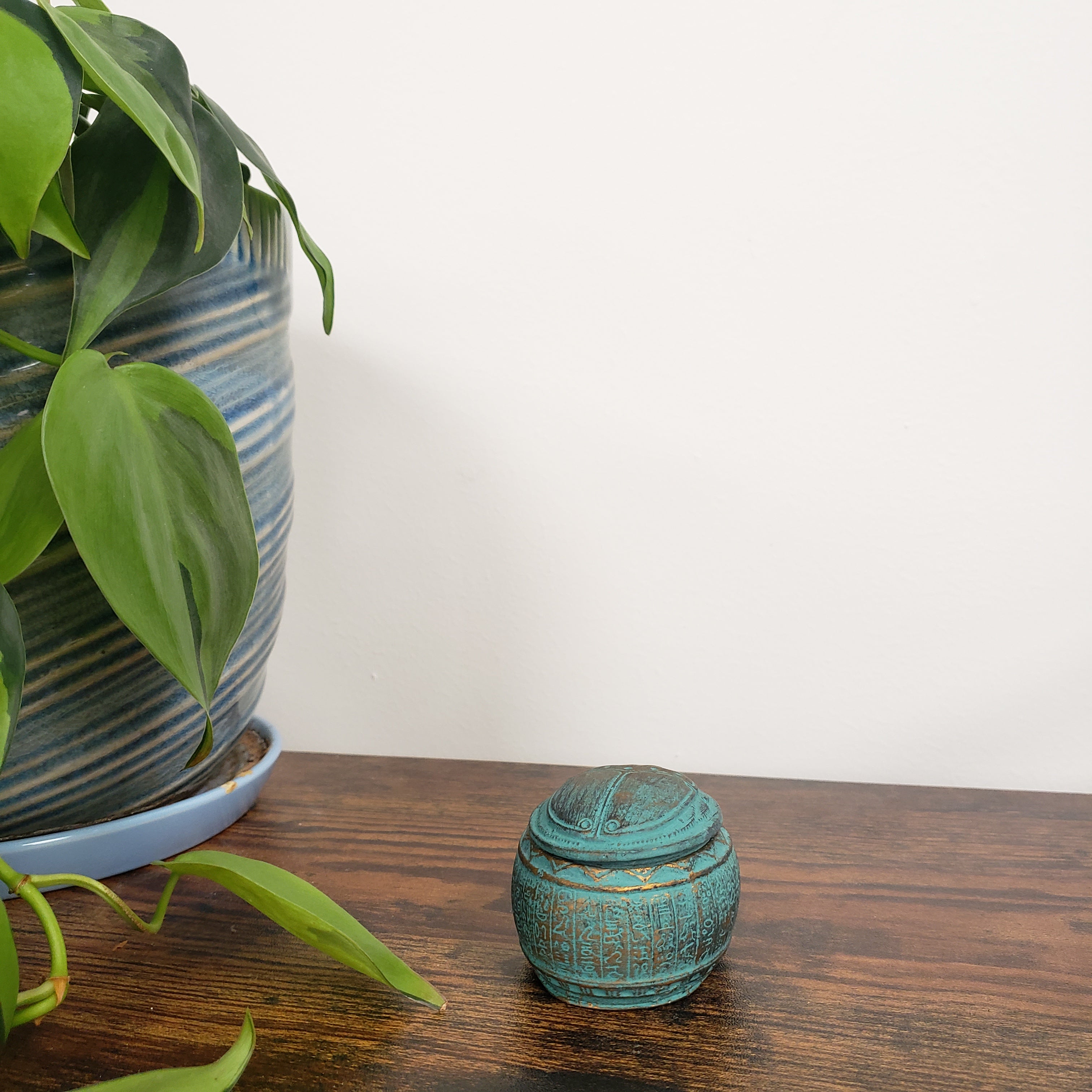 Teal Egyptian scarab box on a wooden door with a plant in the foreground