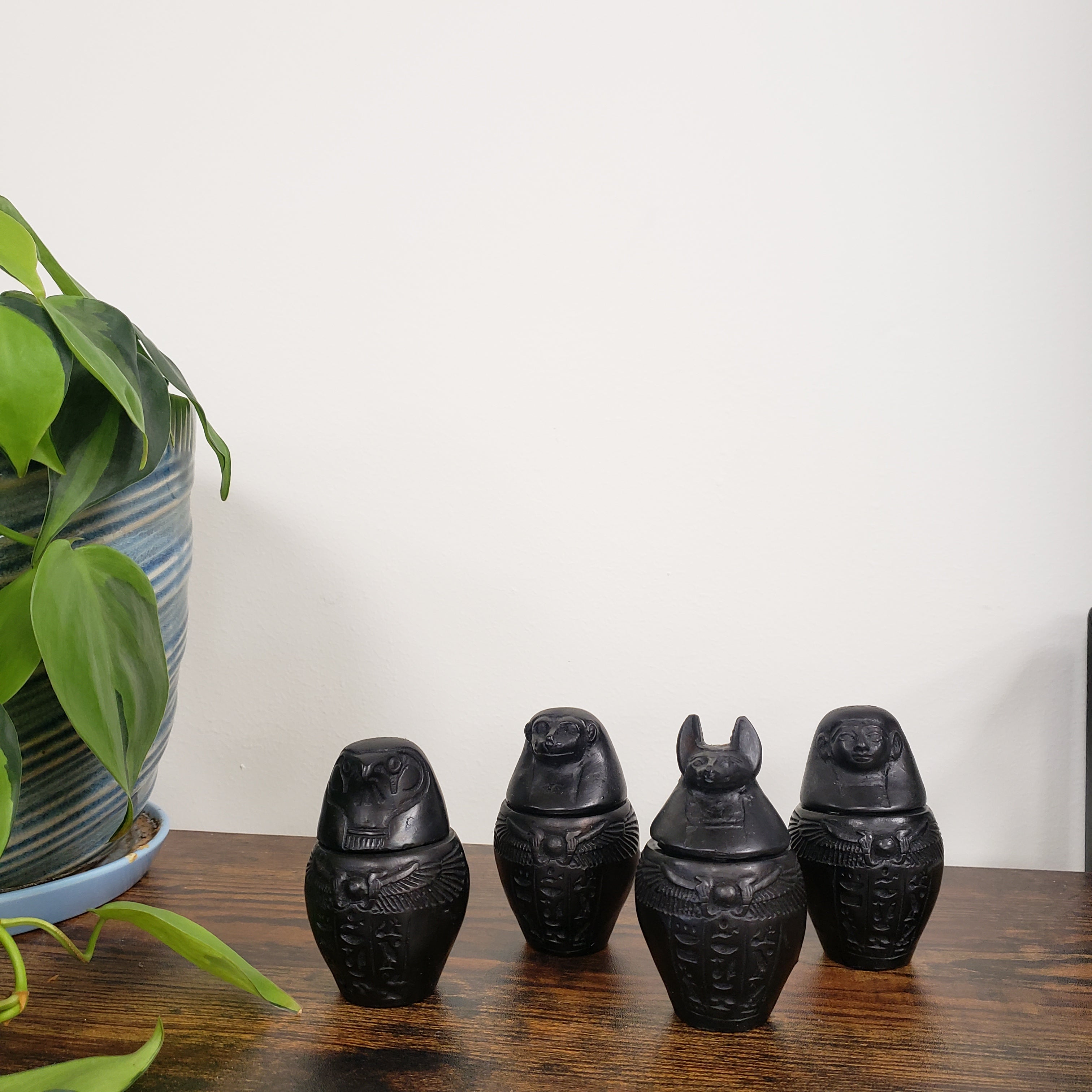 Set of black decorative Egyptian-style canopic jars on a wooden surface with a plant in the foreground.