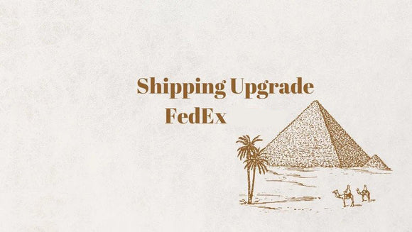 Upgrade to FedEx Overnight Shipping